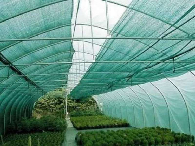 توری سایبان (شید گلخانه) - توری سایبان سبز 50 درصد عرض 10 متر